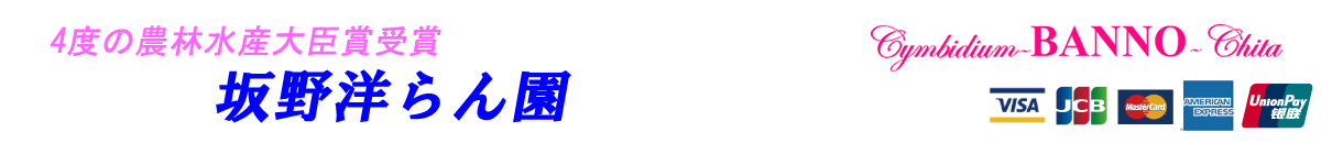 坂野洋らん園